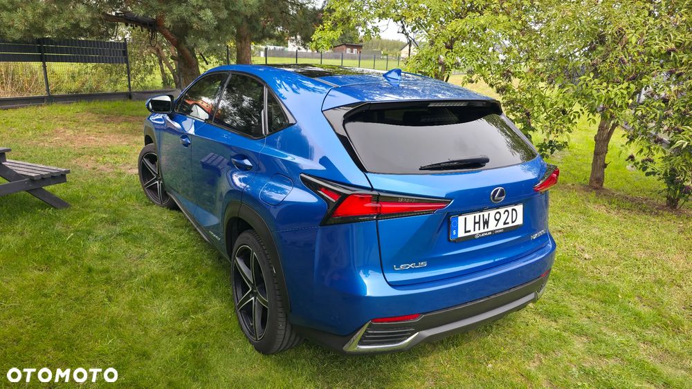 Lexus NX 300h Omotenashi AWD - 10