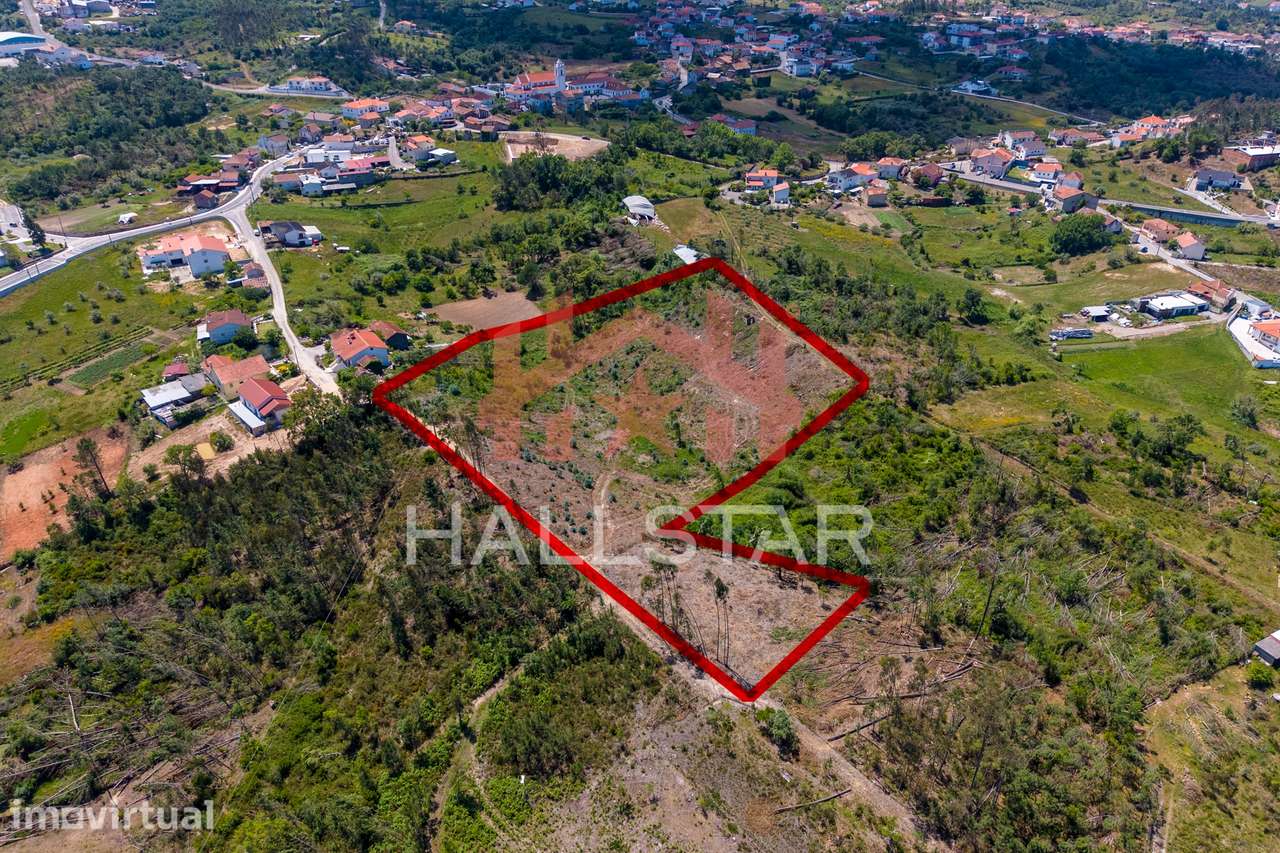 Terreno para Construção / Índice de 0.5 / Arrabal - Grande imagem: 2/13