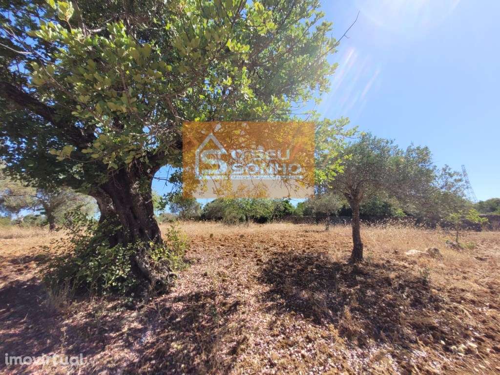 Terreno Rústico plano com acesso pedonal - 4.910 M² - Grande imagem: 5/12