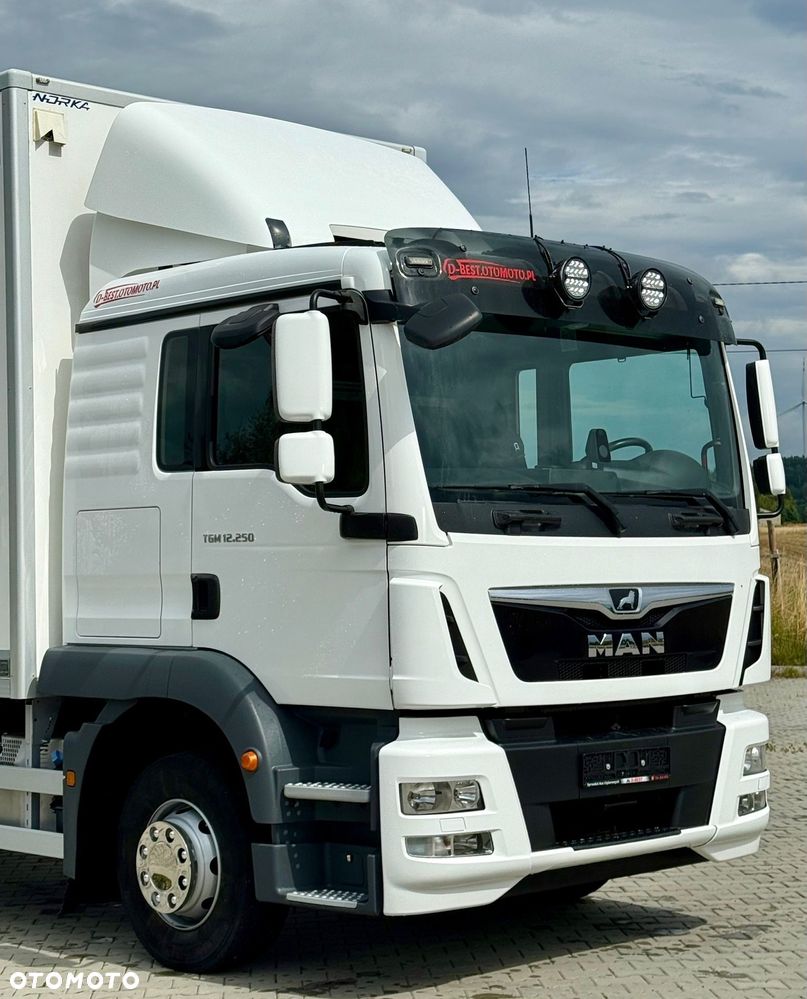 MAN TGM 12.250 / TGL / IZOTERMA / WINDA / 18 EUROPALET / SYPIALKA / AUTOMAT / 2018 ROK - 6