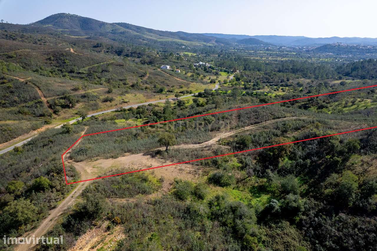 Terreno em Salir, Loulé - Oportunidade Única por 25.000€ - Grande imagem: 3/8
