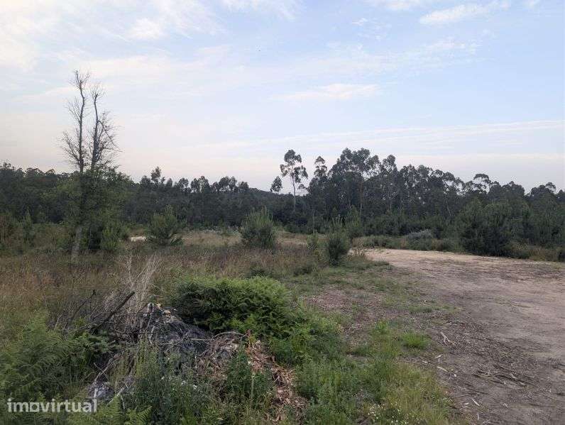 Terreno macieira da maia - Grande imagem: 4/7