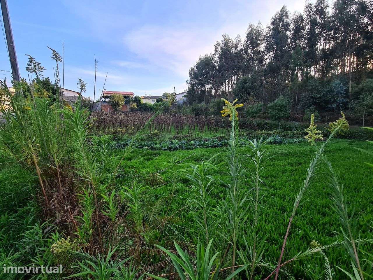 Terreno com Viabilidade de Construção de Moradias - Grande imagem: 4/15