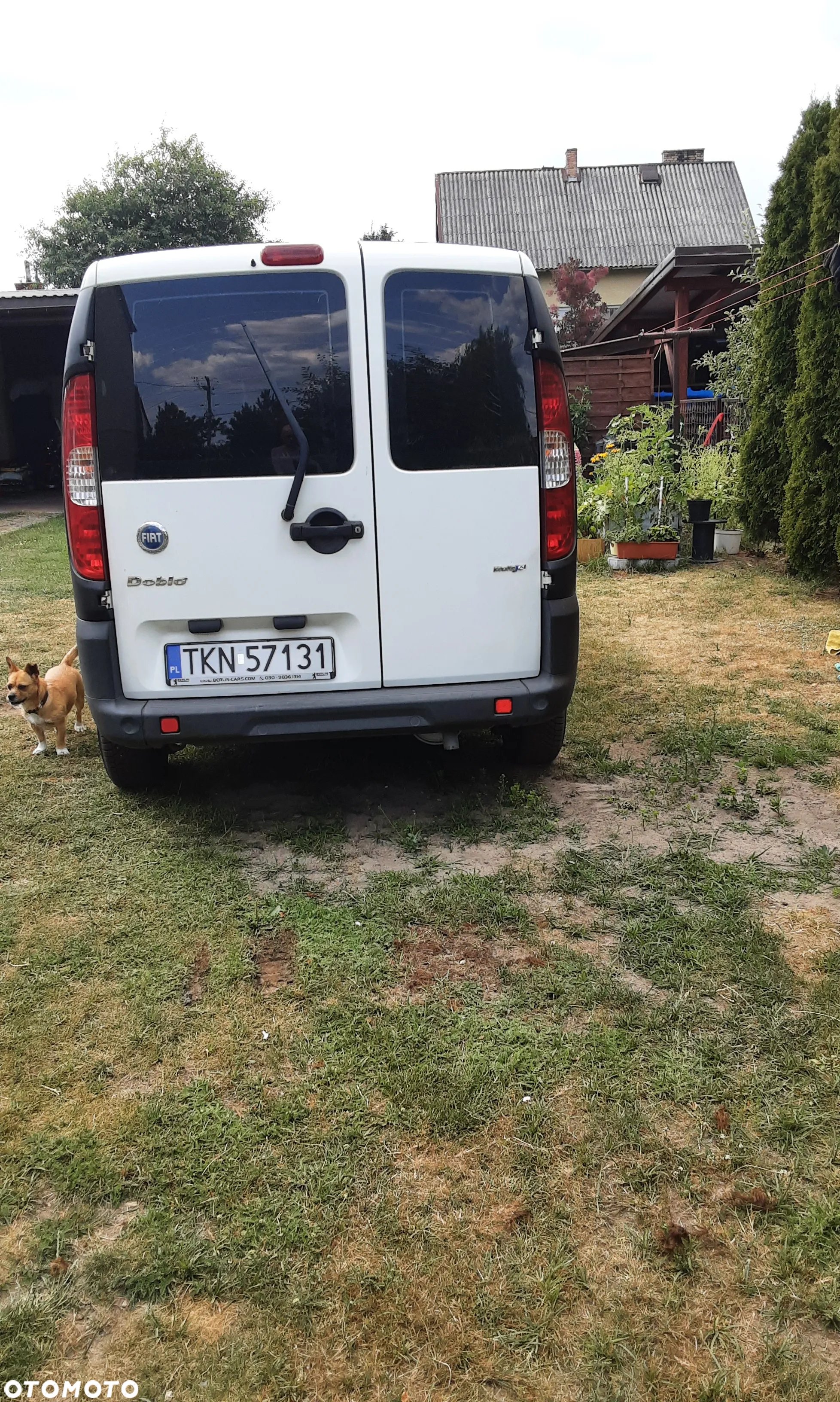 Fiat Doblo - 8