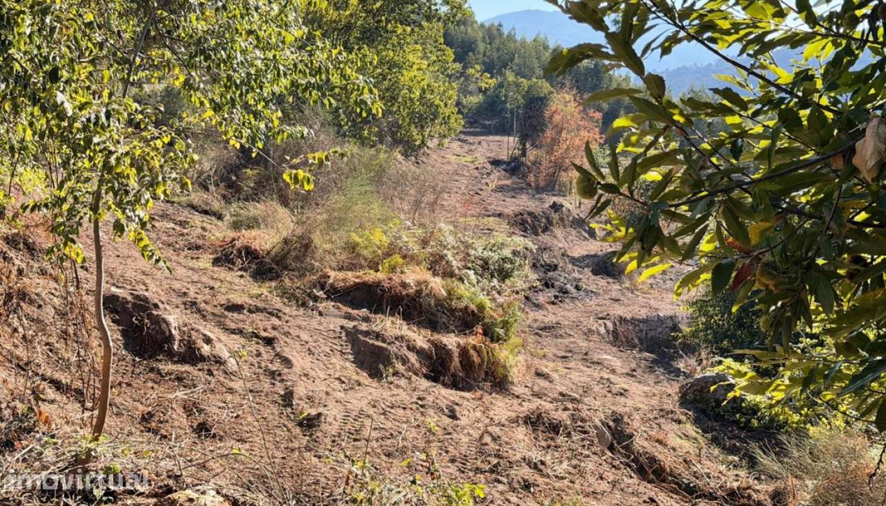 Venda Terreno, Mesquinhata, Baião - Grande imagem: 3/30