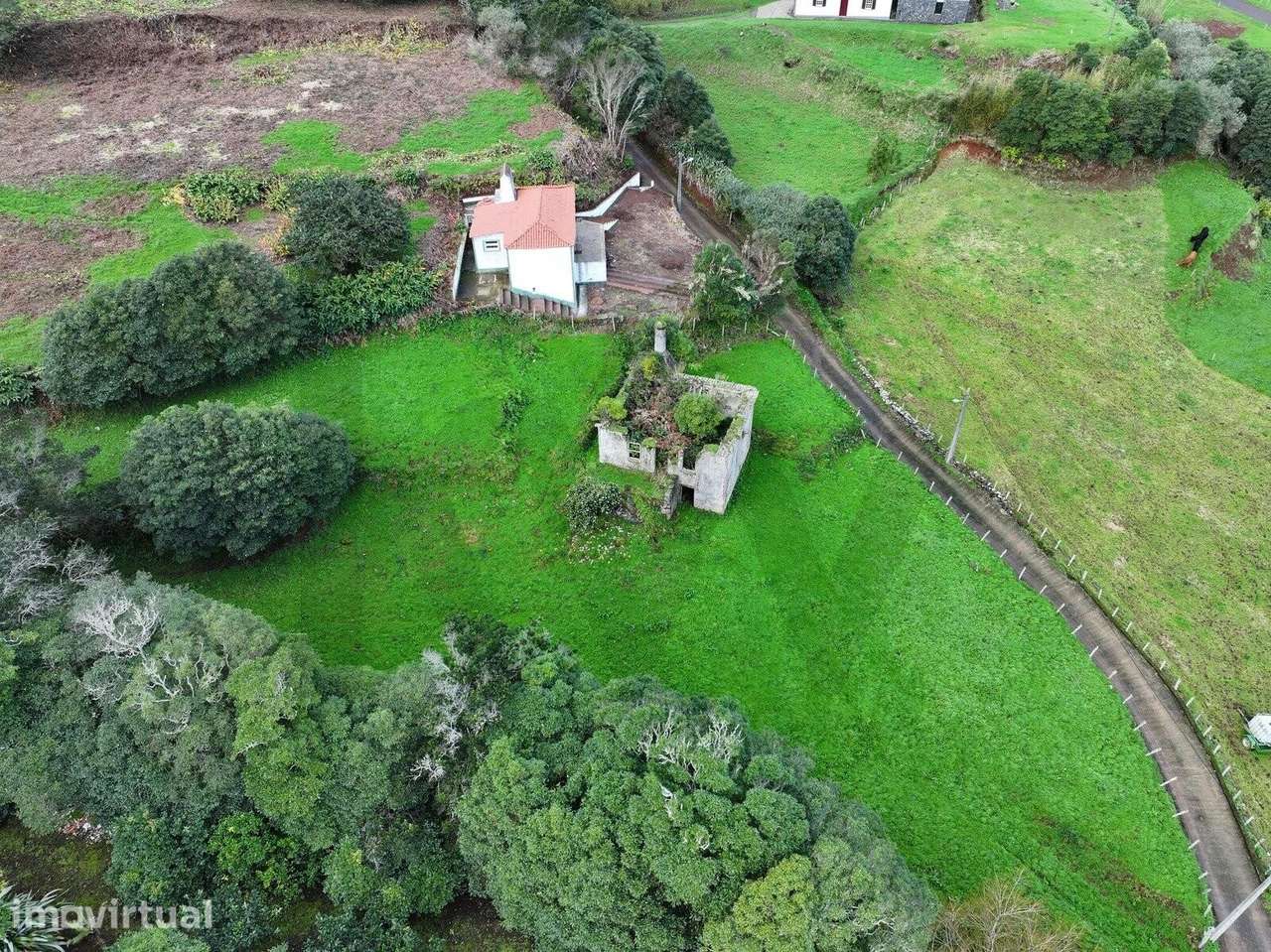 Ruína - Santo António, Santo Espírito - Grande imagem: 5/8