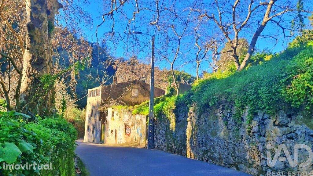 Casa de Campo T4 em Sintra (Santa Maria e São Miguel, São Martinho e S - Grande imagem: 2/27