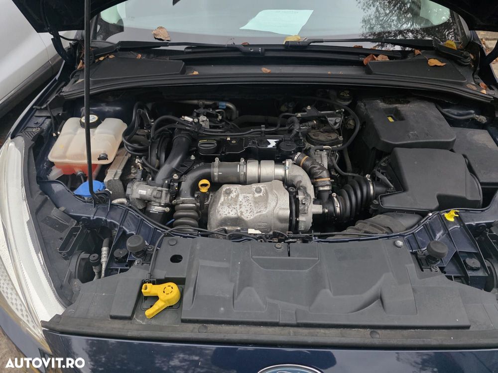 Ford Focus - 7