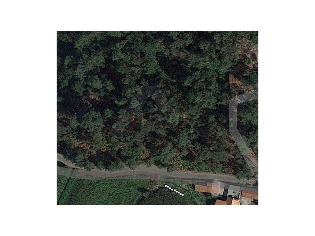 Terreno c/ 6.000 m2 (5 bouças). - Grande imagem: 3/5