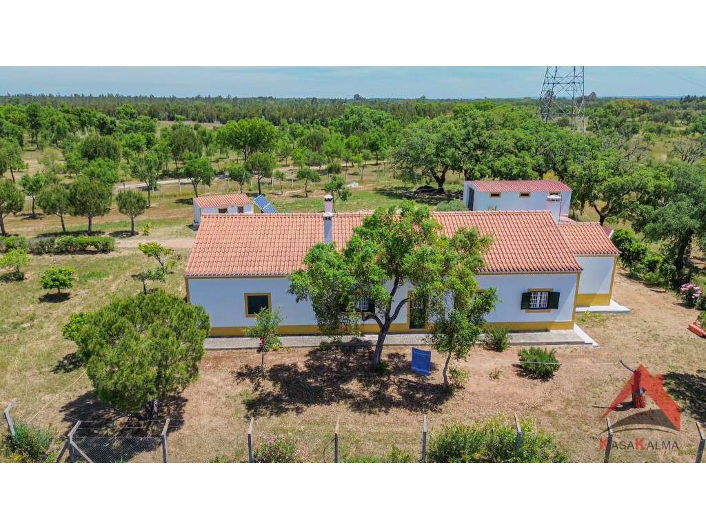 Herdade do Barranco - Grande imagem: 4/60