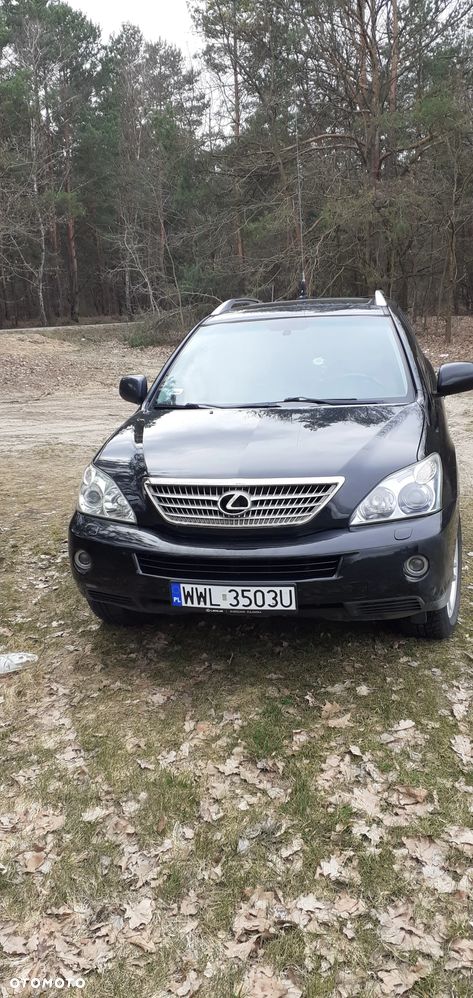 Lexus RX 400h Prestige + - 17
