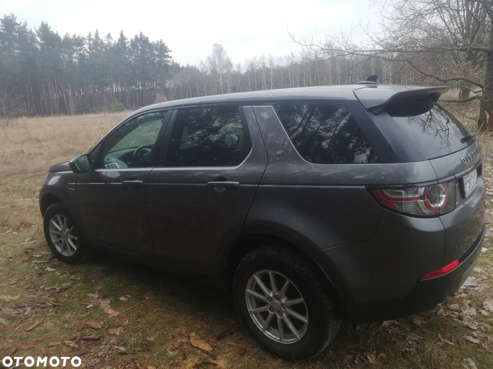 Land Rover Discovery Sport 2.0 Si4 SE - 6