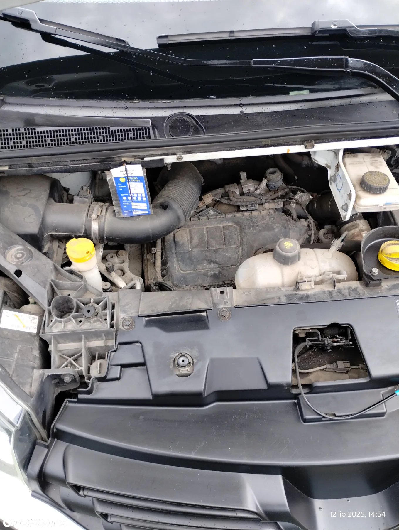 Renault TRAFIC - 20