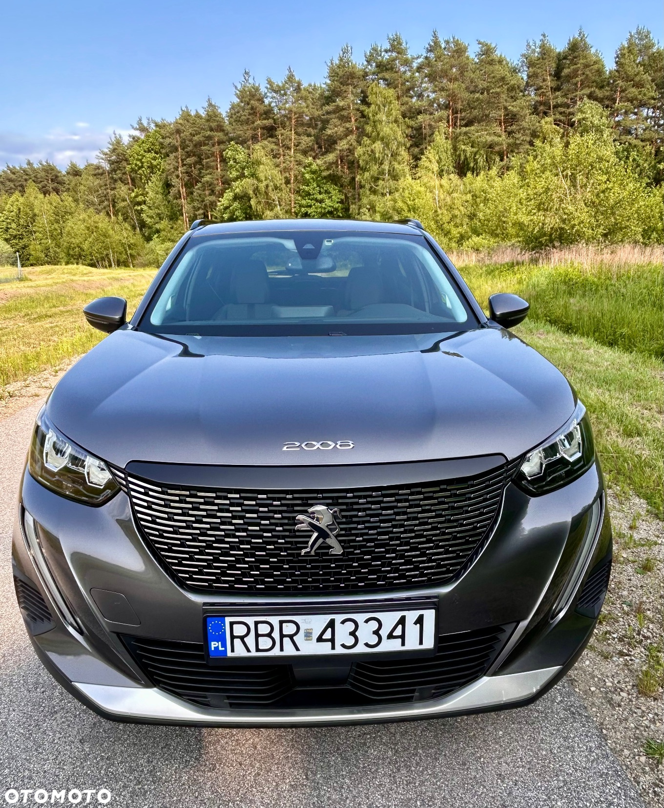 Peugeot 2008 - 26