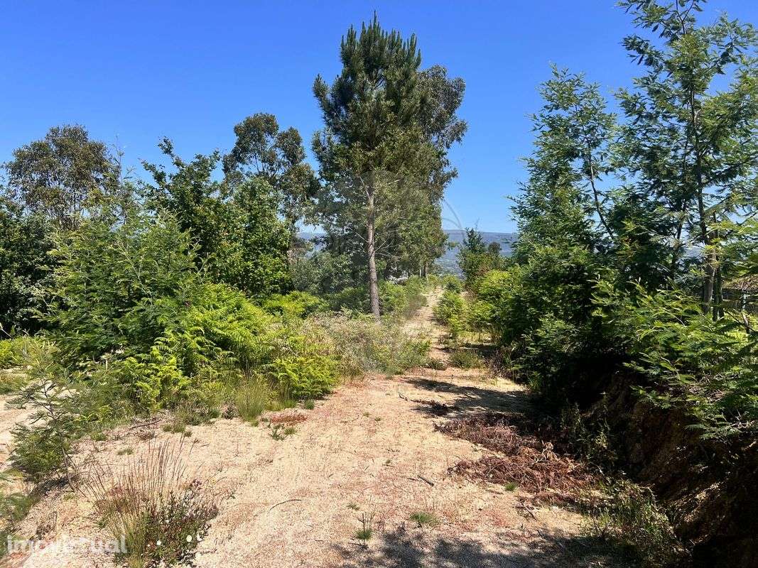 Terreno  para venda - Grande imagem: 3/8