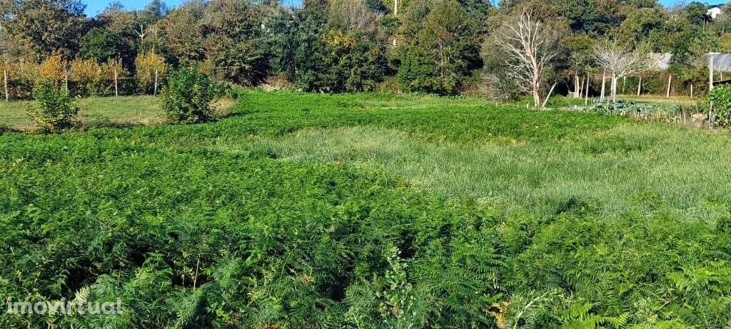 Terreno Rústico - Fiscal - Grande imagem: 4/5