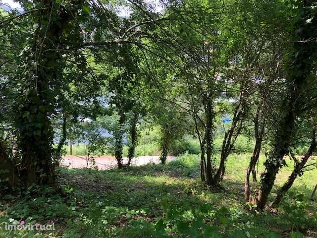 Terreno junto ao Rio Douro em Medas, Gondomar - Grande imagem: 4/10