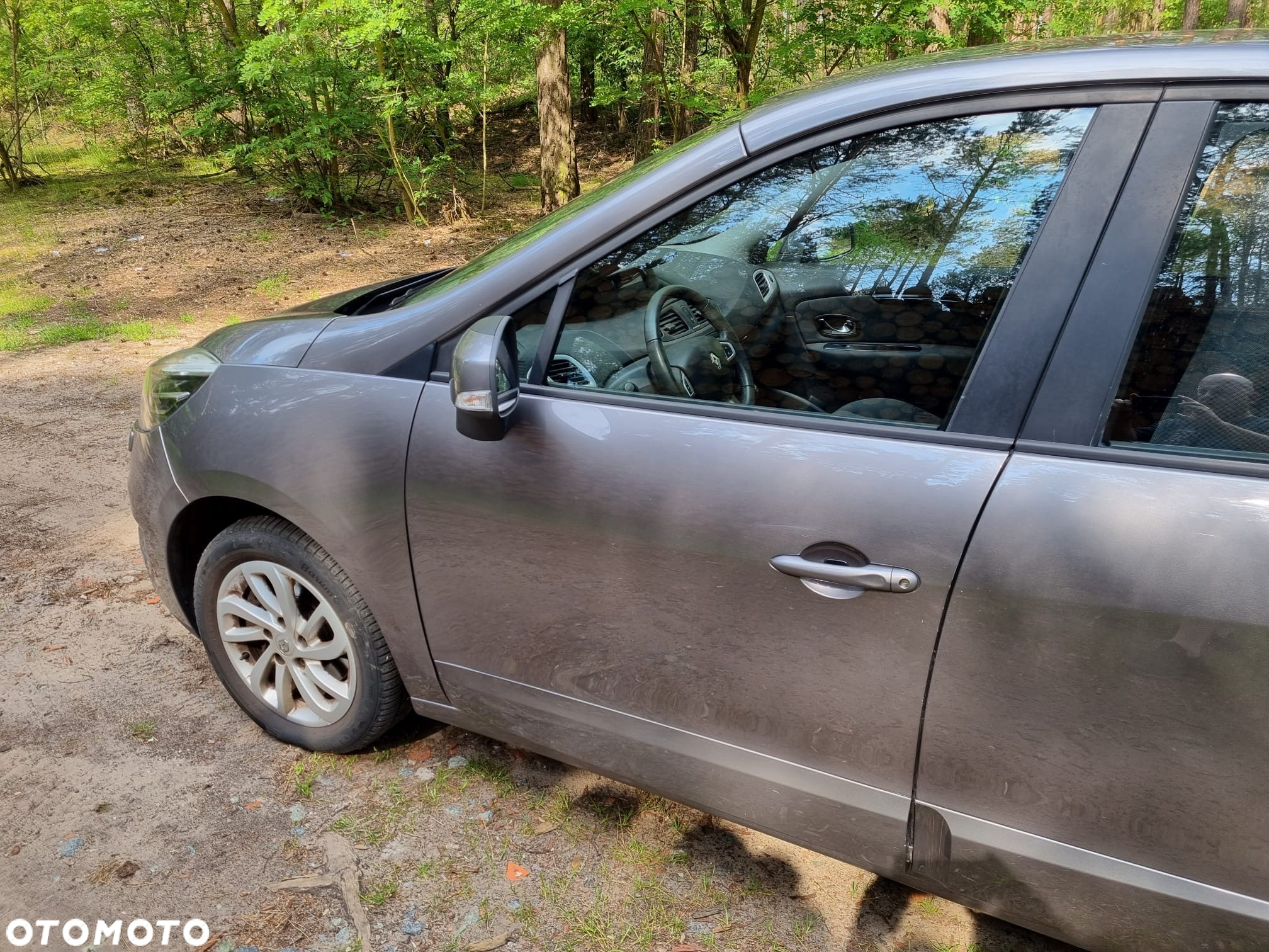 Renault Grand Scenic - 14