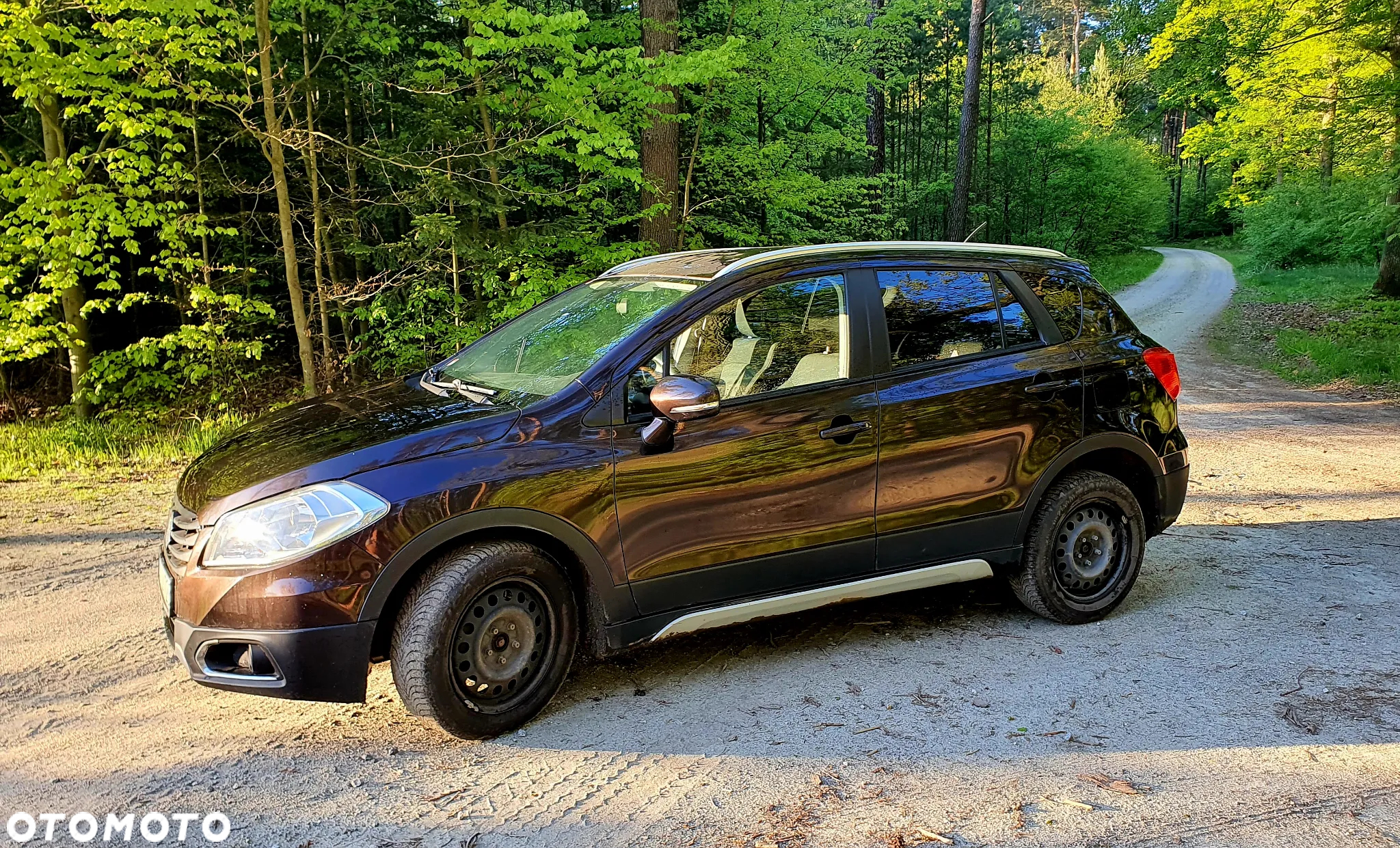 Suzuki SX4 S-Cross 1.6 DDiS Premium 4WD - 3
