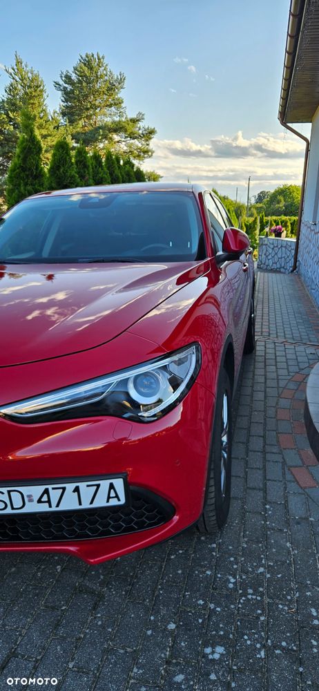 Alfa Romeo Stelvio 2.0 Turbo Business Q4 - 3