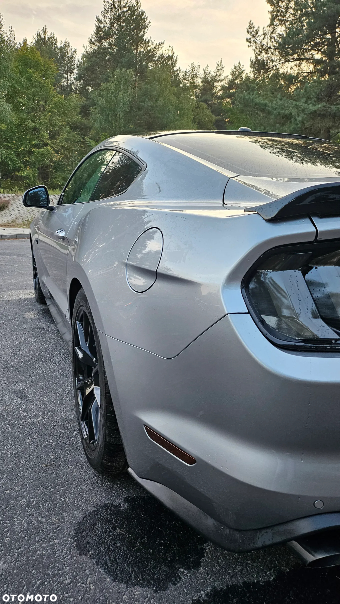 Ford Mustang 5.0 V8 GT - 11