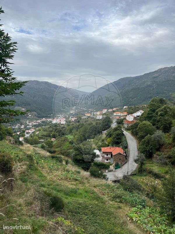 Quinta T4 para venda - Grande imagem: 2/14