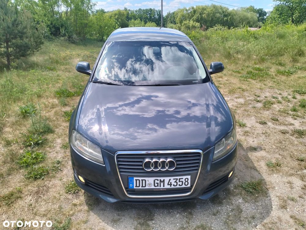 Audi A3 Sportback 2.0 TDI DPF Ambiente - 14