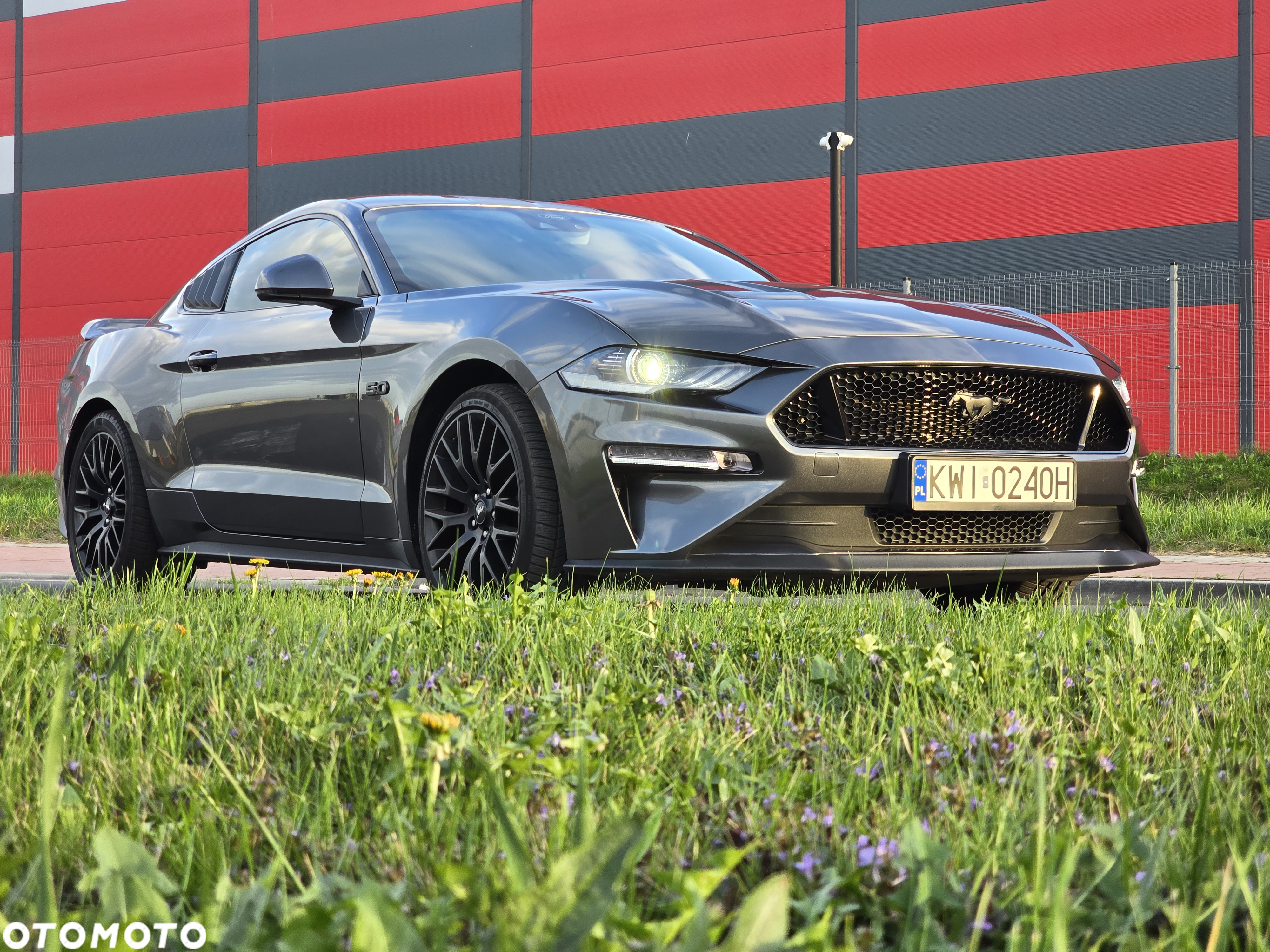 Ford Mustang 5.0 V8 GT - 12