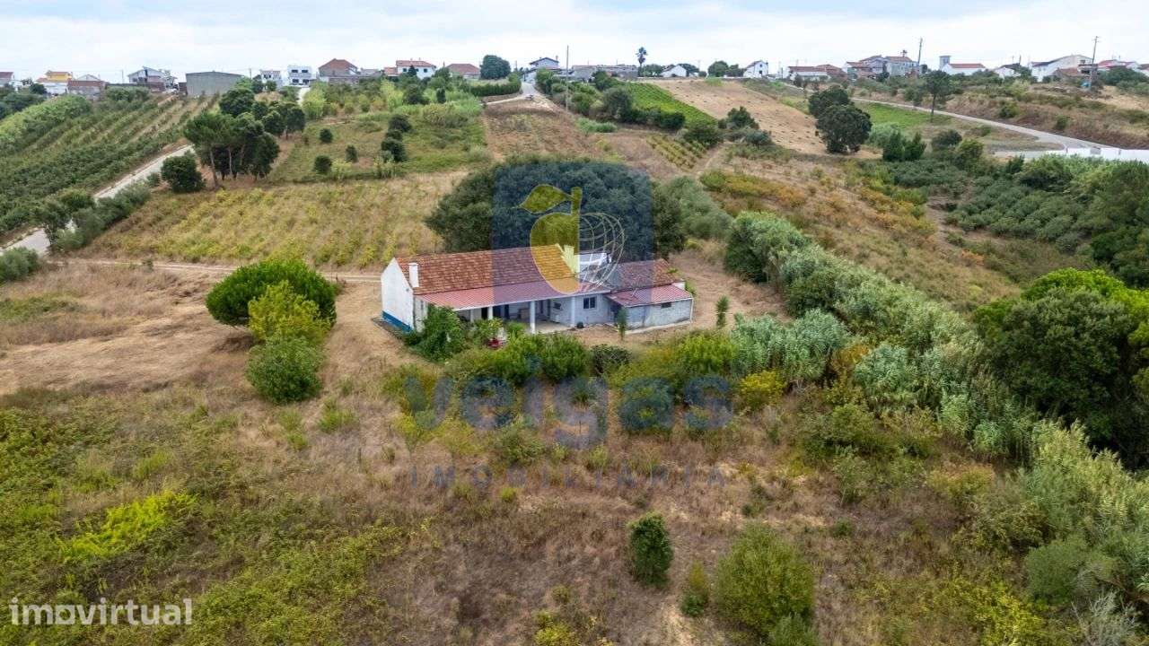 Moradia térrea / Quintinha T3+1 com Vinha, Pomares e Lagar – Gracieira - Grande imagem: 2/27