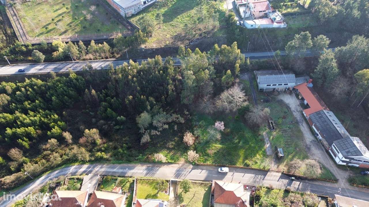 Lote de Prestígio com 2.815 m2 – Amplitude e Privacidade entre Cidades - Grande imagem: 5/14