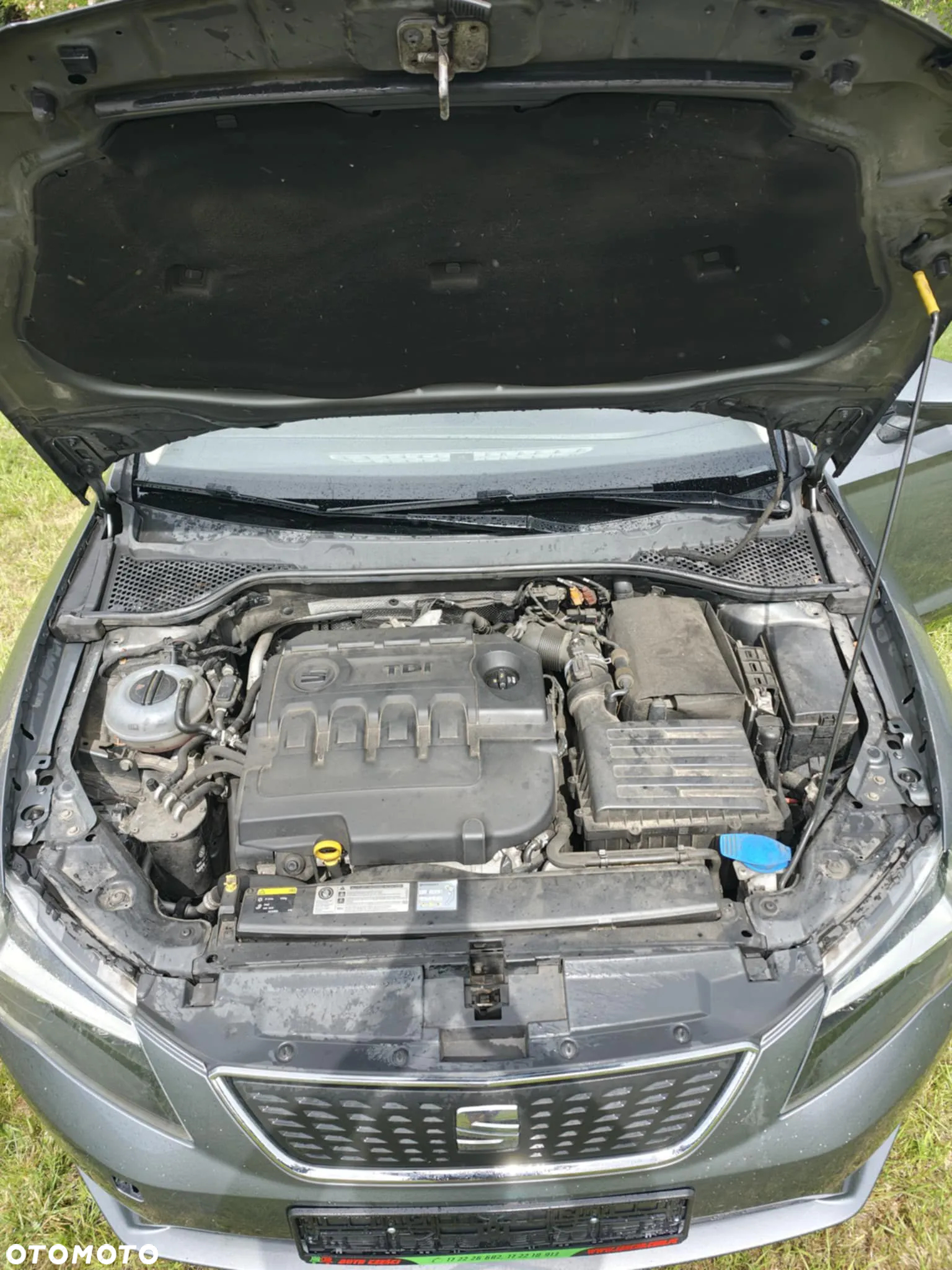 Seat Leon - 10