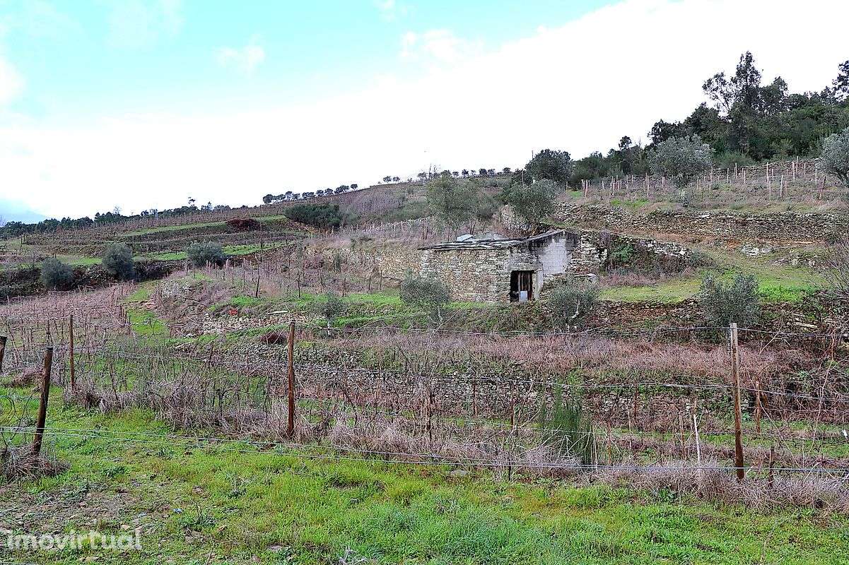 Quinta  para venda - Grande imagem: 2/14