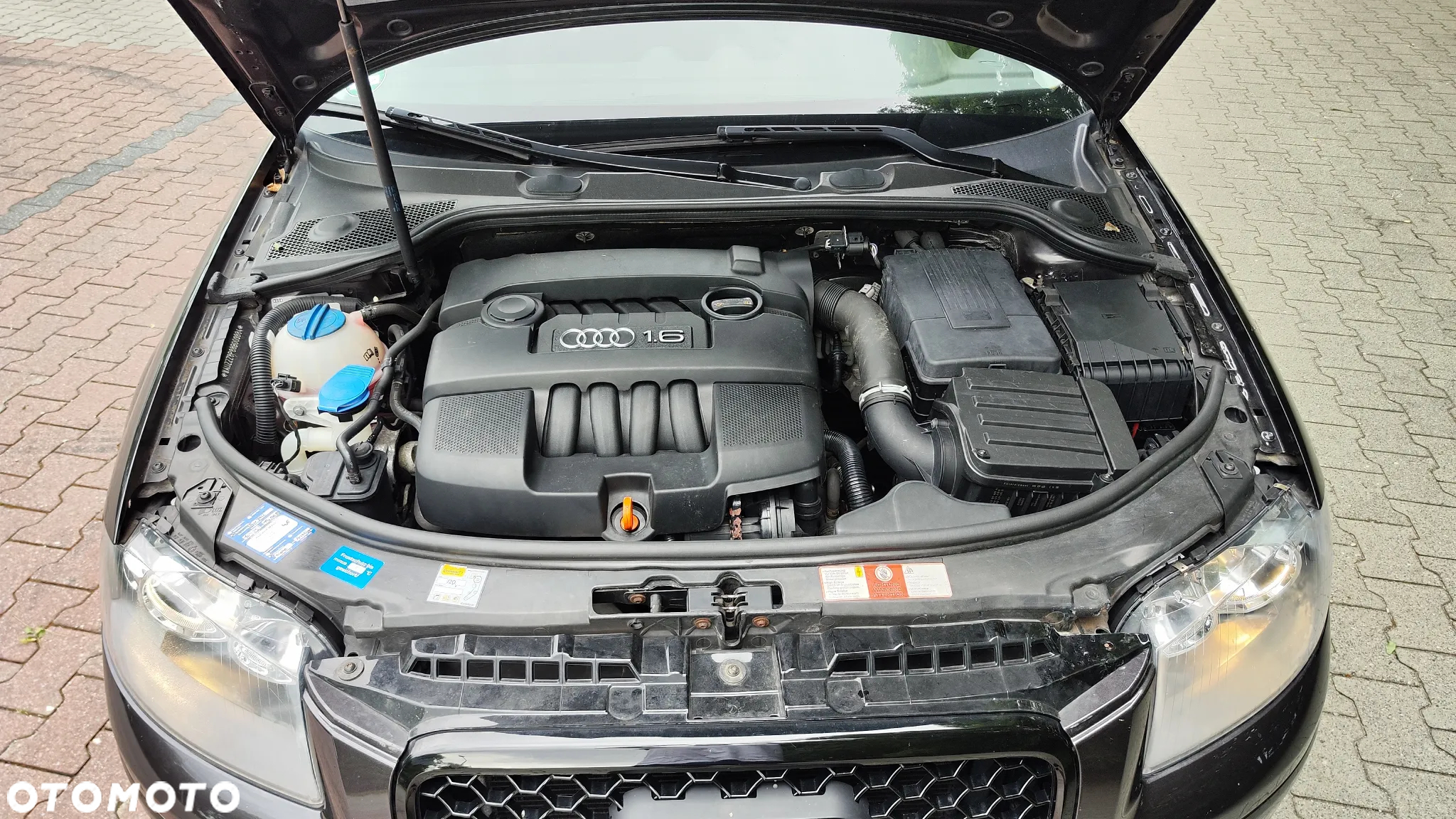 Audi A3 1.6 Attraction - 31