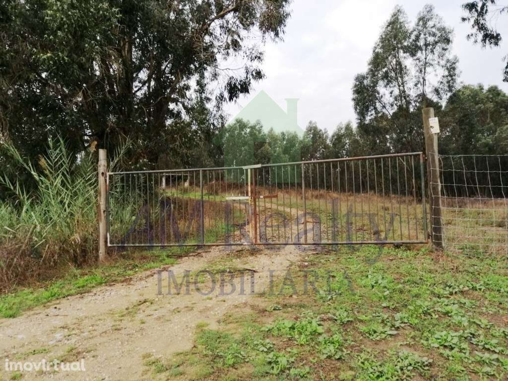 TERRENO | SERRA D'EL REI - Grande imagem: 2/4