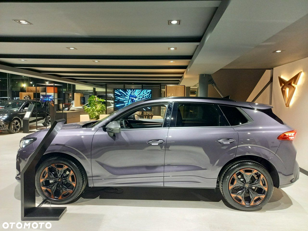 Cupra Terramar - 7