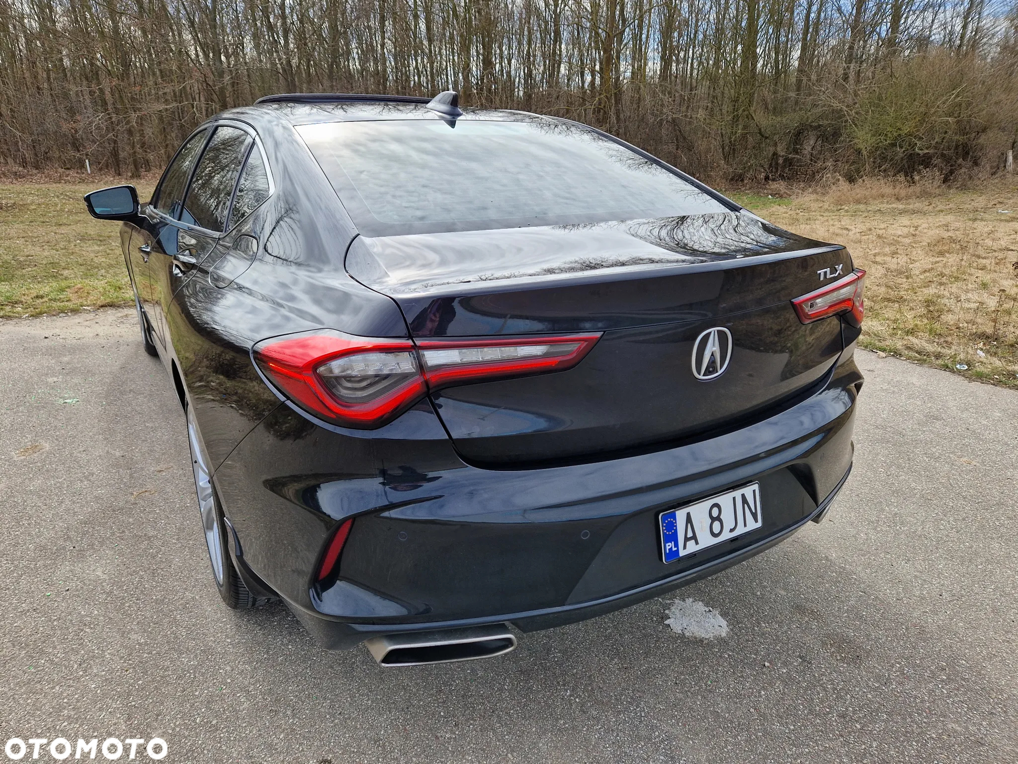 Acura Inny - 9