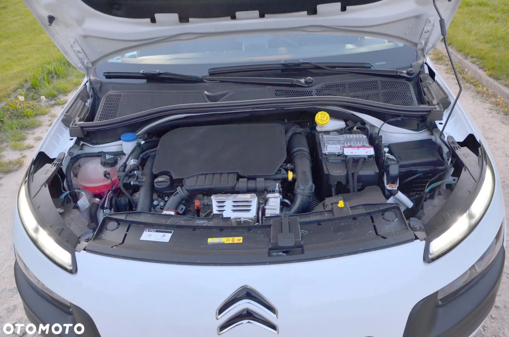 Citroën C4 Cactus Pure Tech 110 Stop&Start Feel - 31