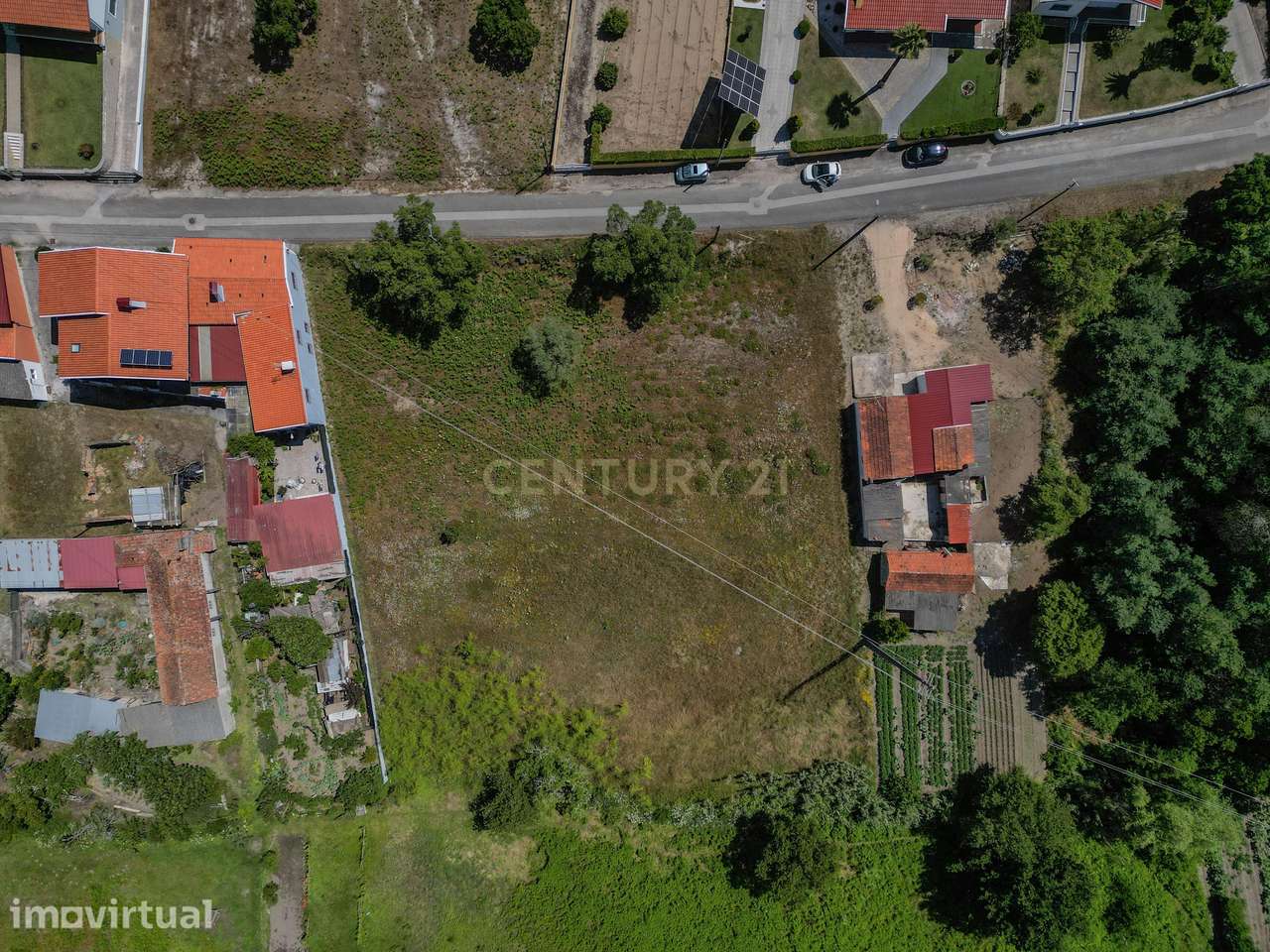 Terreno Rústico em Coimbra - Oportunidade Única por 50.000€ - Grande imagem: 2/25