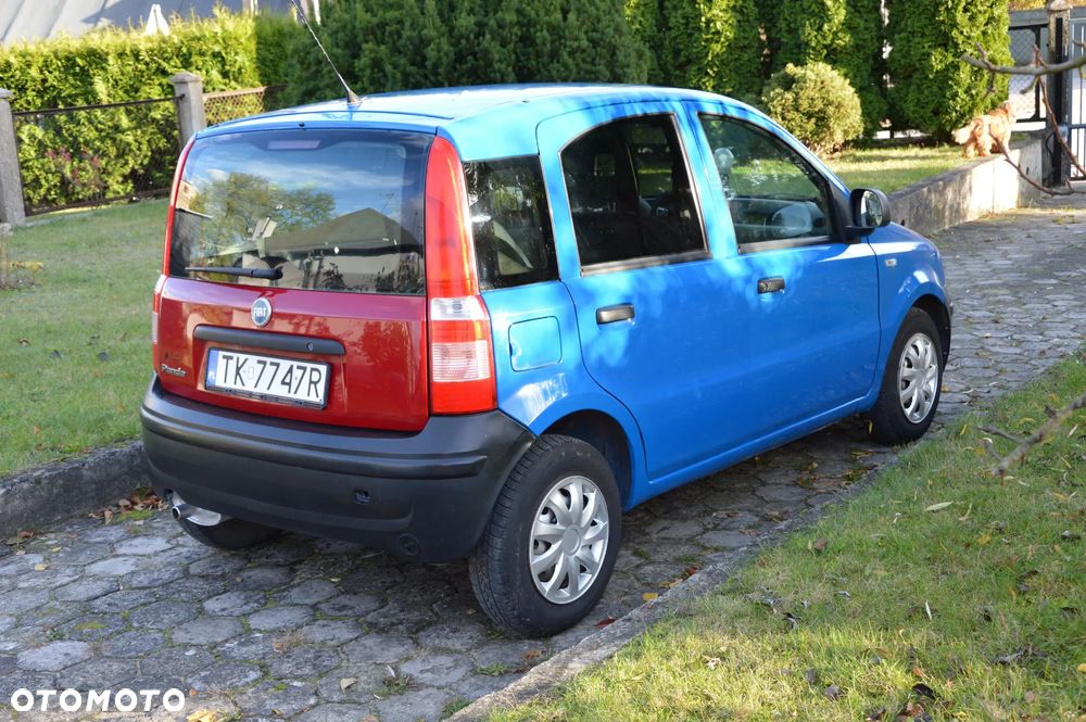 Fiat Panda - 1
