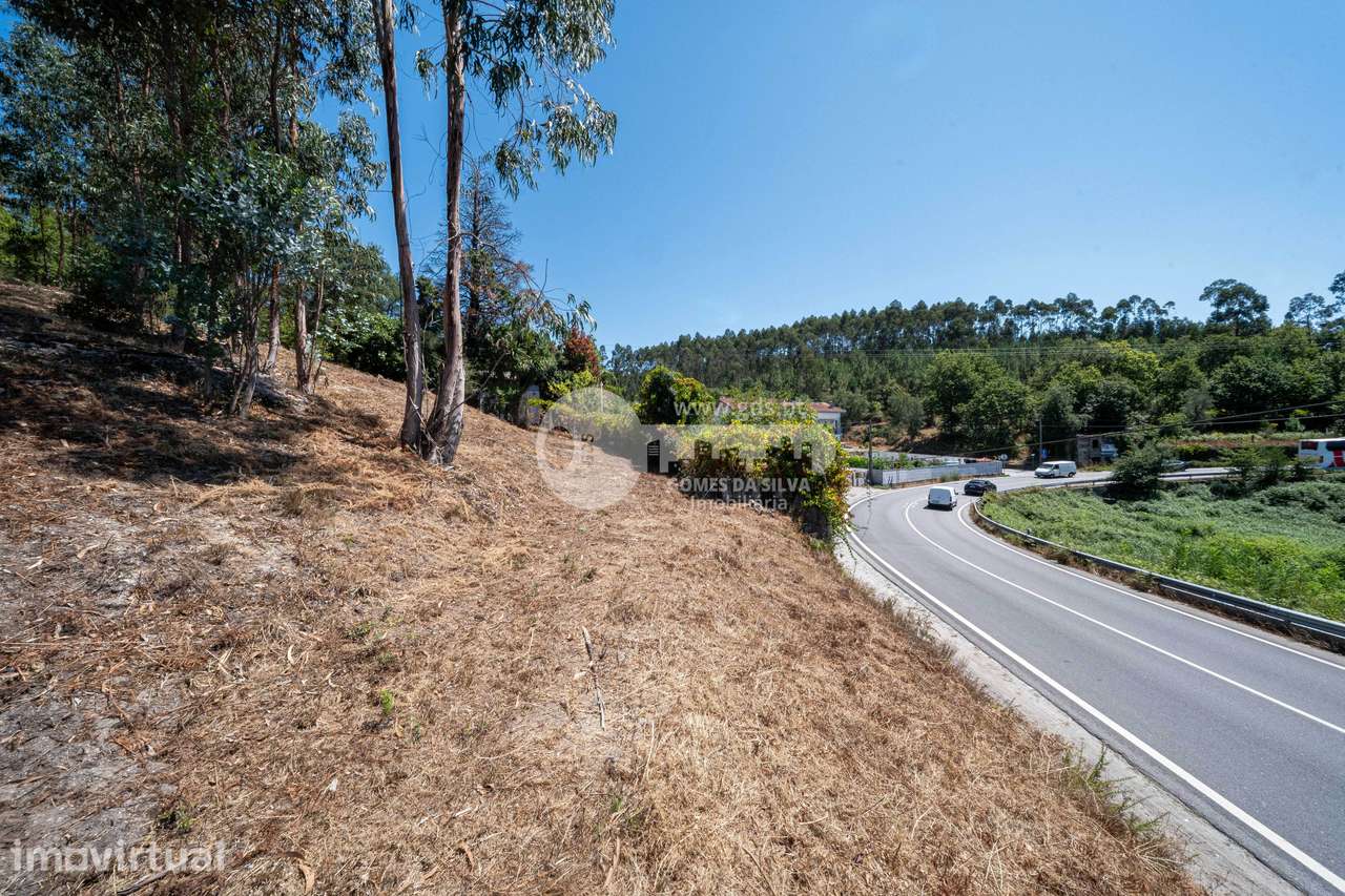 TERRENO URBANO COM 6.000 M² | TRANDREIRAS| POTENCIAL DE LOTEAMENTO - Grande imagem: 5/15