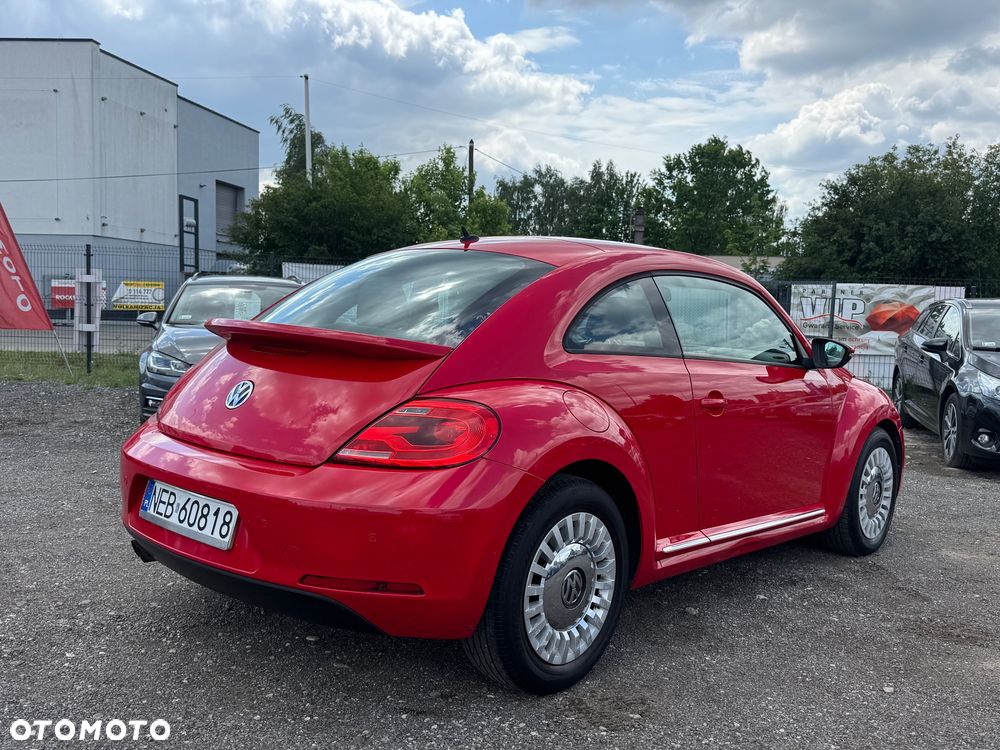 Volkswagen Beetle - 20