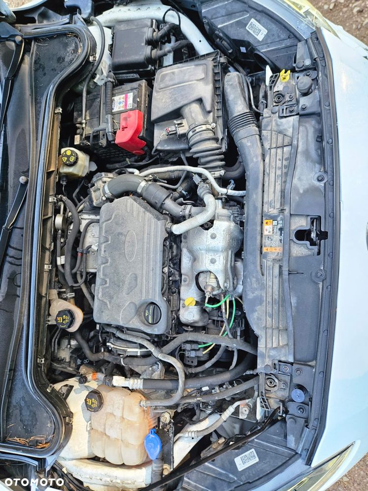 Ford Focus 1.5 EcoBlue SCR Trend - 31