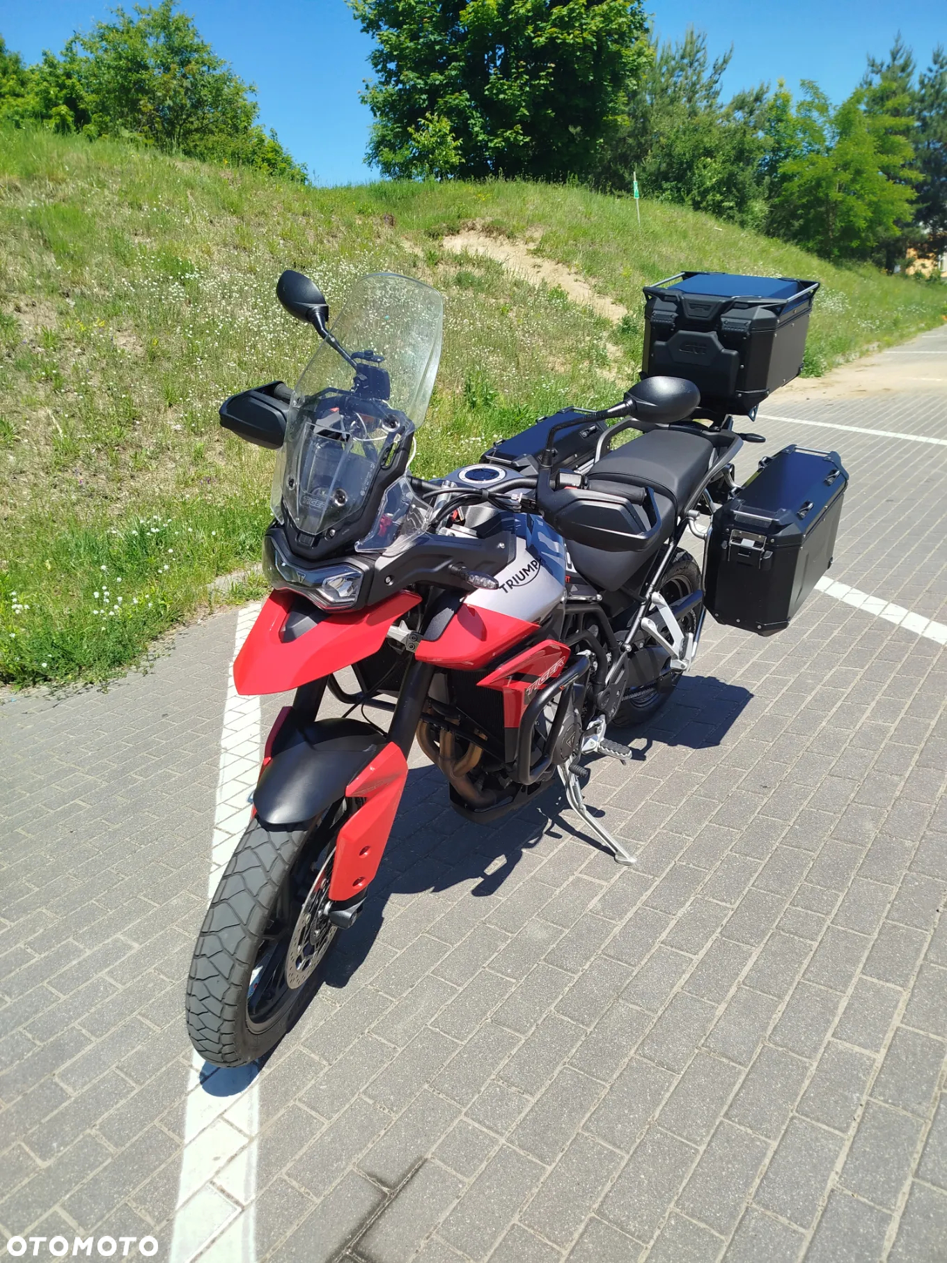 Triumph Tiger - 13