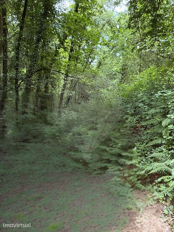 Terreno  para venda - Grande imagem: 2/4