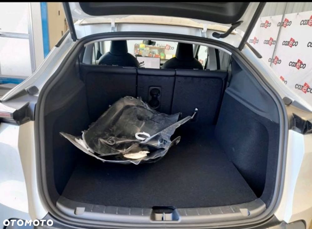 Tesla Model Y Standard - 10