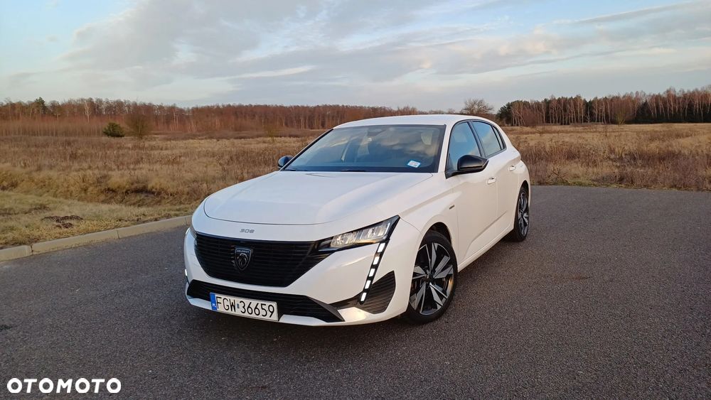 Peugeot 308 1.6 Hybrid PHEV Active Pack EAT8 - 19