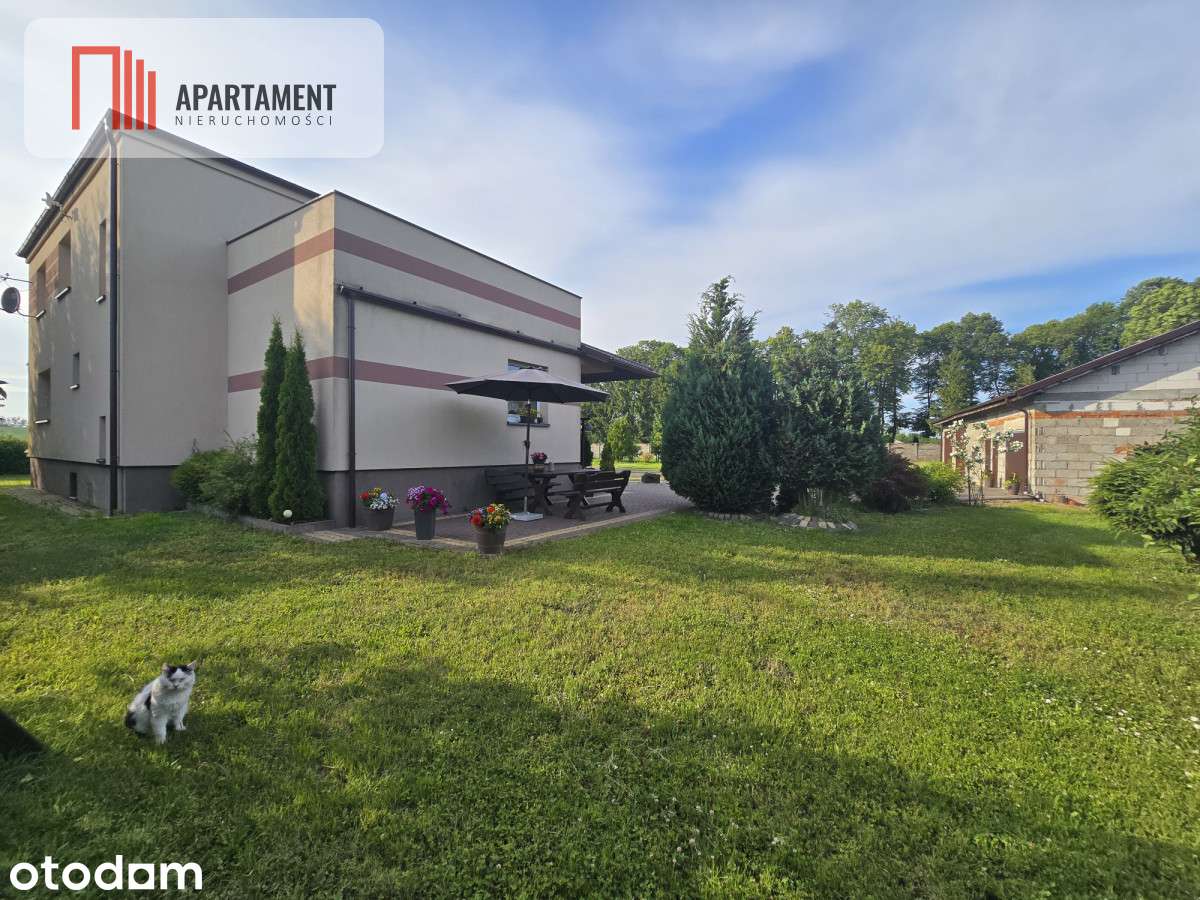 Dom 156m² + Hala/Garaże  160m² | Działka 5800m² - Pełny obrazek: 3/20