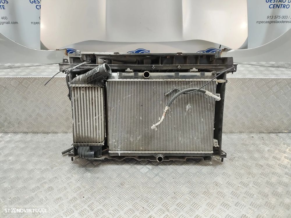 Frente Completa Citroen DS5 D-Sport Diesel - 7