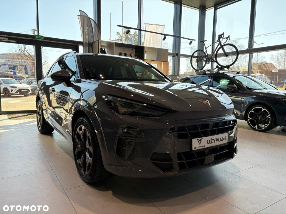 Cupra Terramar - 4