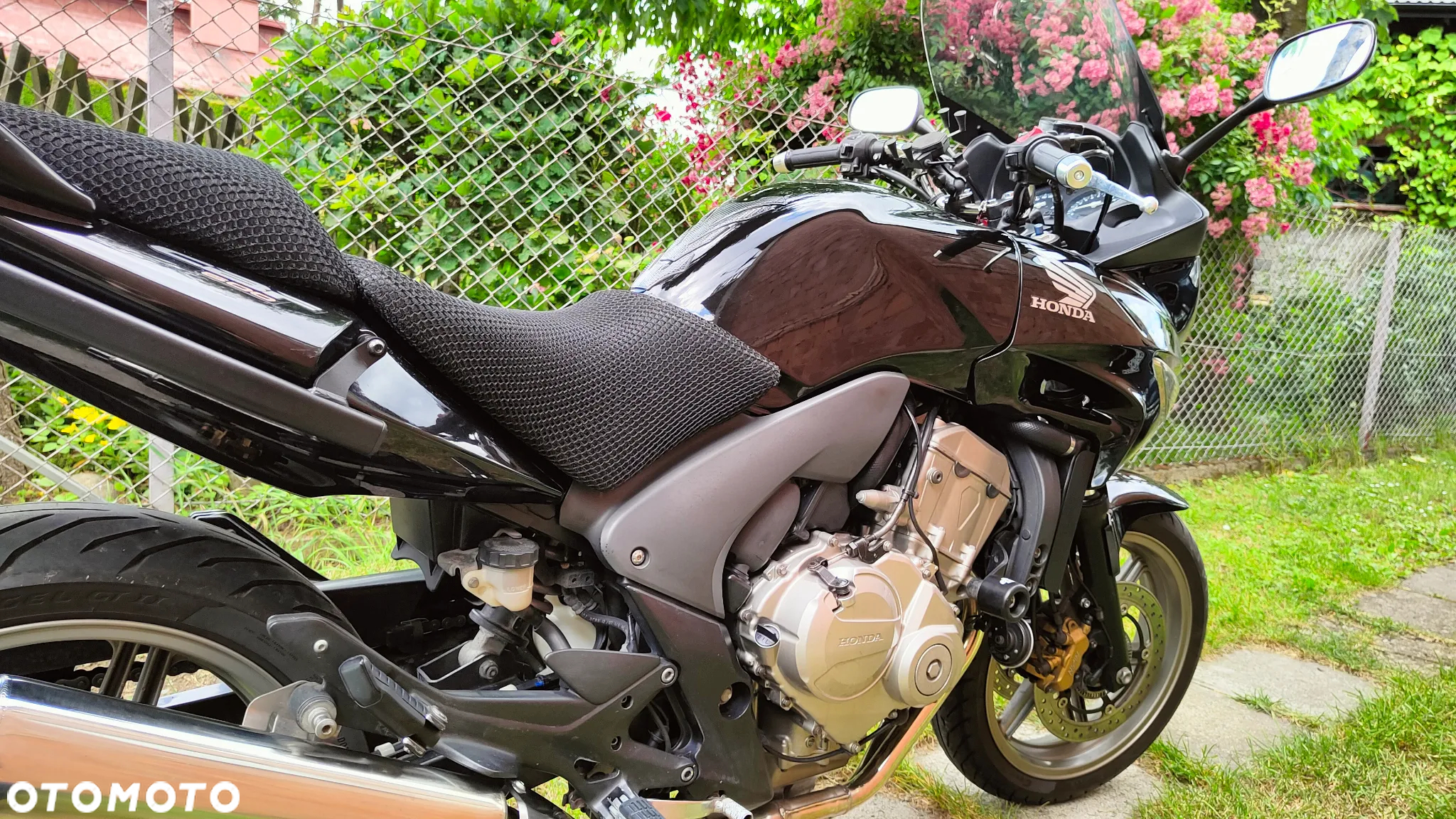 Honda CBF - 6